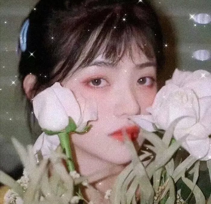 狐妃,别惹火